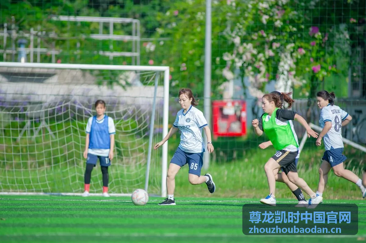 尊龙凯时中国官网电子游艺老虎机